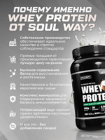 Протеин сывороточный Soul Way, кокосовый / 900 гр 30 порций