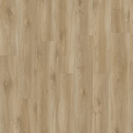Moduleo Next Torre Oak 847