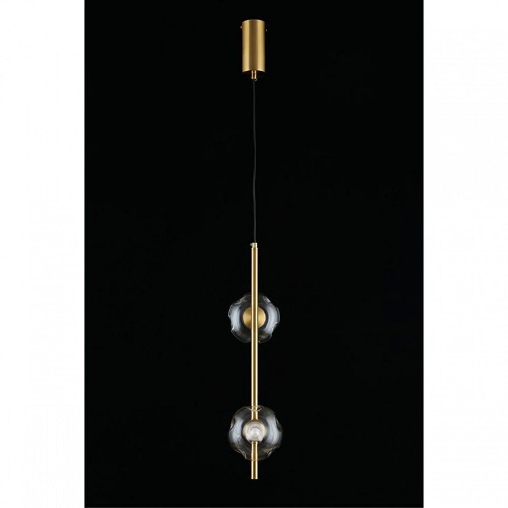 Подвесной светильник Aployt Tereze APL.074.06.02