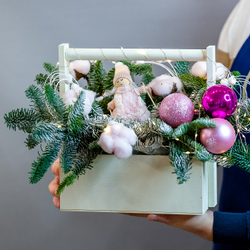 Нобилис в деревянном ящике