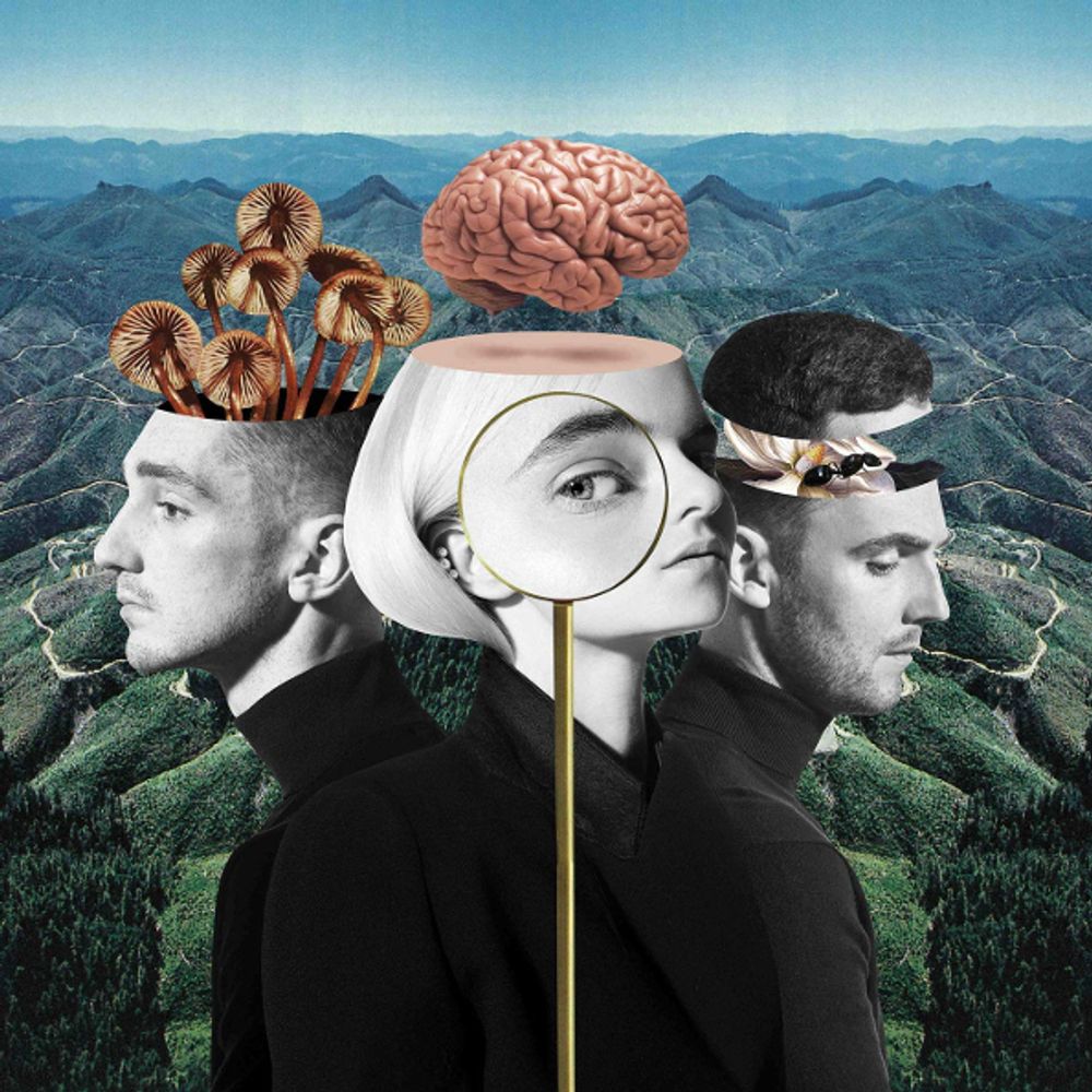 Clean Bandit / What Is Love? (Deluxe Edition)(CD) Clean Bandit / What Is Love? (Deluxe Edition)(CD)