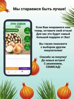 Лук севок озимый для посадки Стурон 1 кг