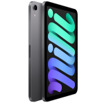 iPad Mini 6