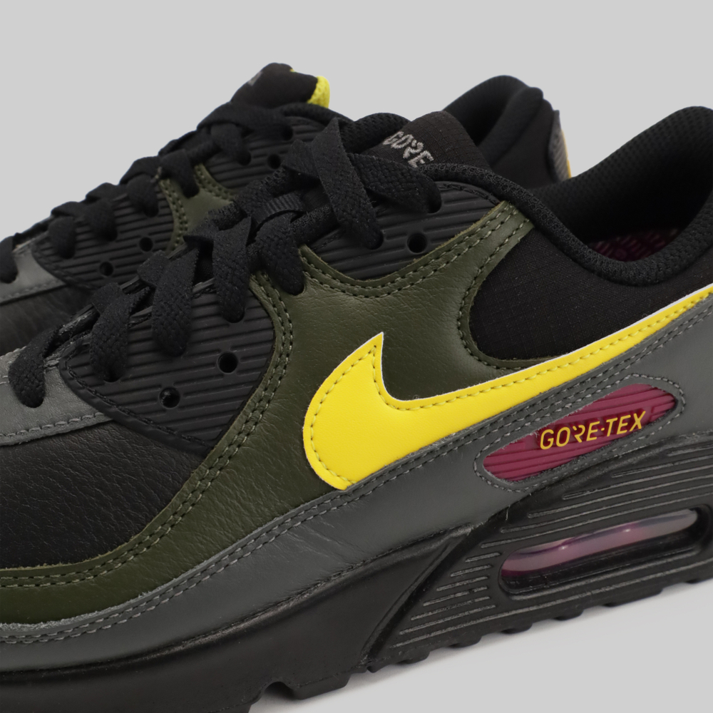 Nike Air Max 90 GTX DJ9779 001 Dice