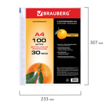 Файлы перфорированные А4 BRAUBERG комплект 100 шт. матовые 30 мкм (6 штук в упаковке)