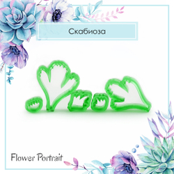 Каттеры Скабиоза