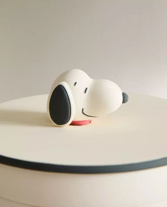 ZARA HOME КОНТЕЙНЕР ДЛЯ ХРАНЕНИЯ PEANUTS™, РАЗНОЦВЕТНЫЙ