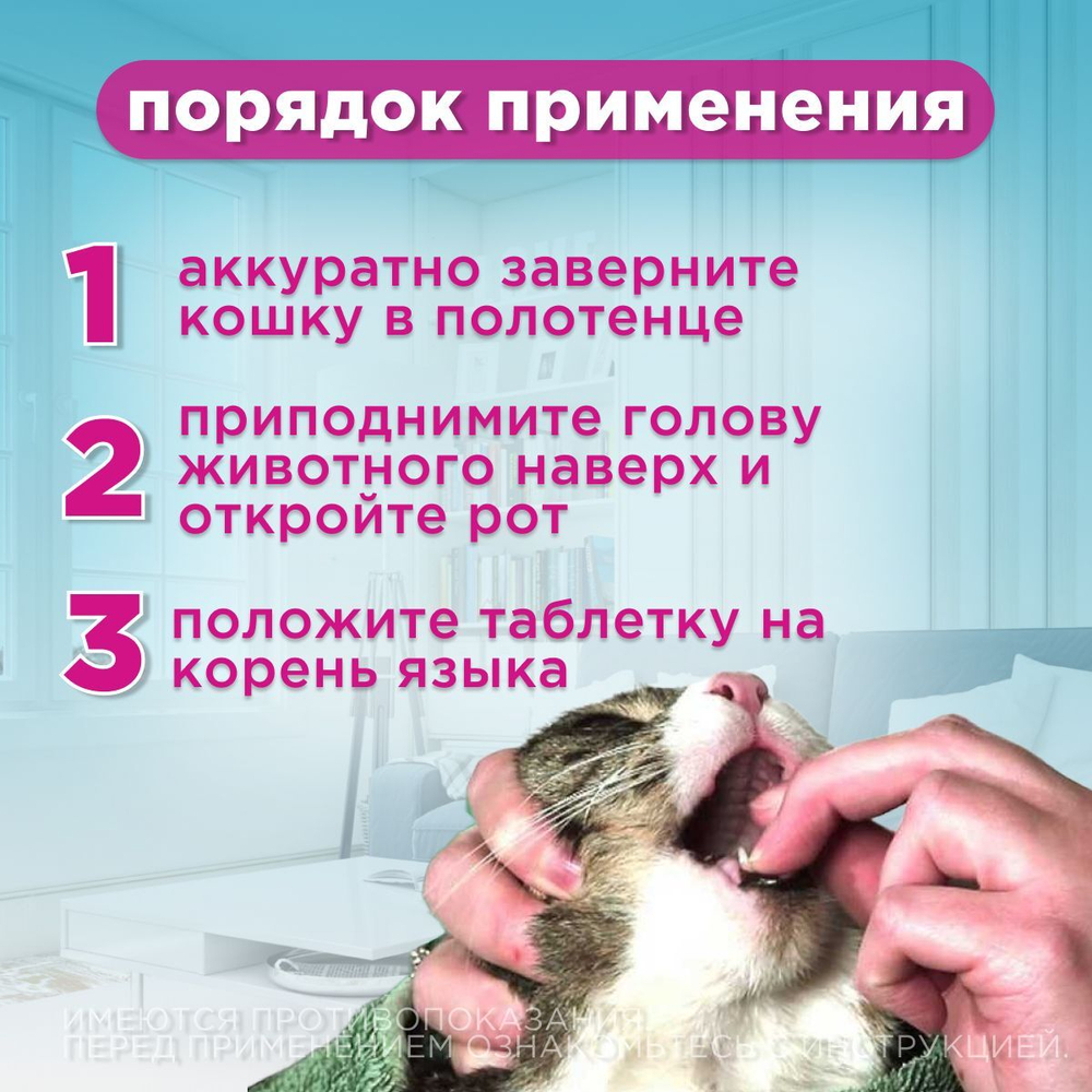 Онсиор таблетки для кошек для облегчения воспаления и боли 6 мг, 6 штук