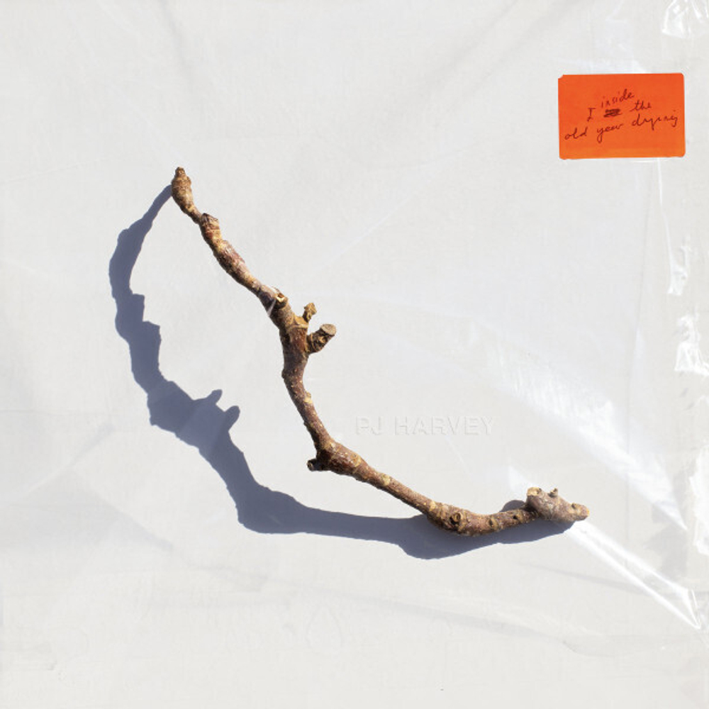 LP: PJ Harvey — I Inside The Old Year Dying