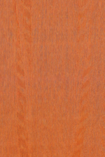 Arte Amazone 2 Fierce – 23507
