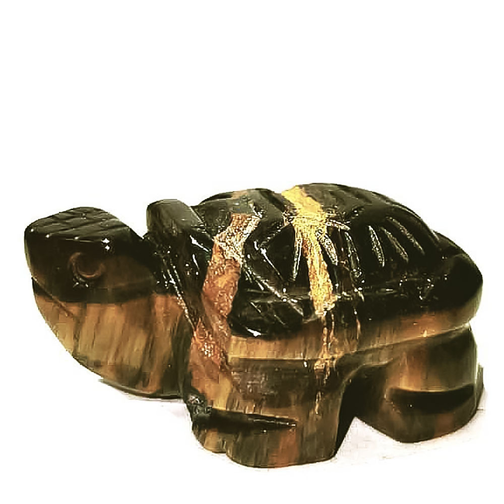 Черепаха тигровый глаз асс.