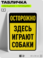 Табличка "Осторожно, здесь играют собаки" на дверь и забор, для двора, дома, подъезда, 40х30 см, Silver Plane x Айдентика Технолоджи