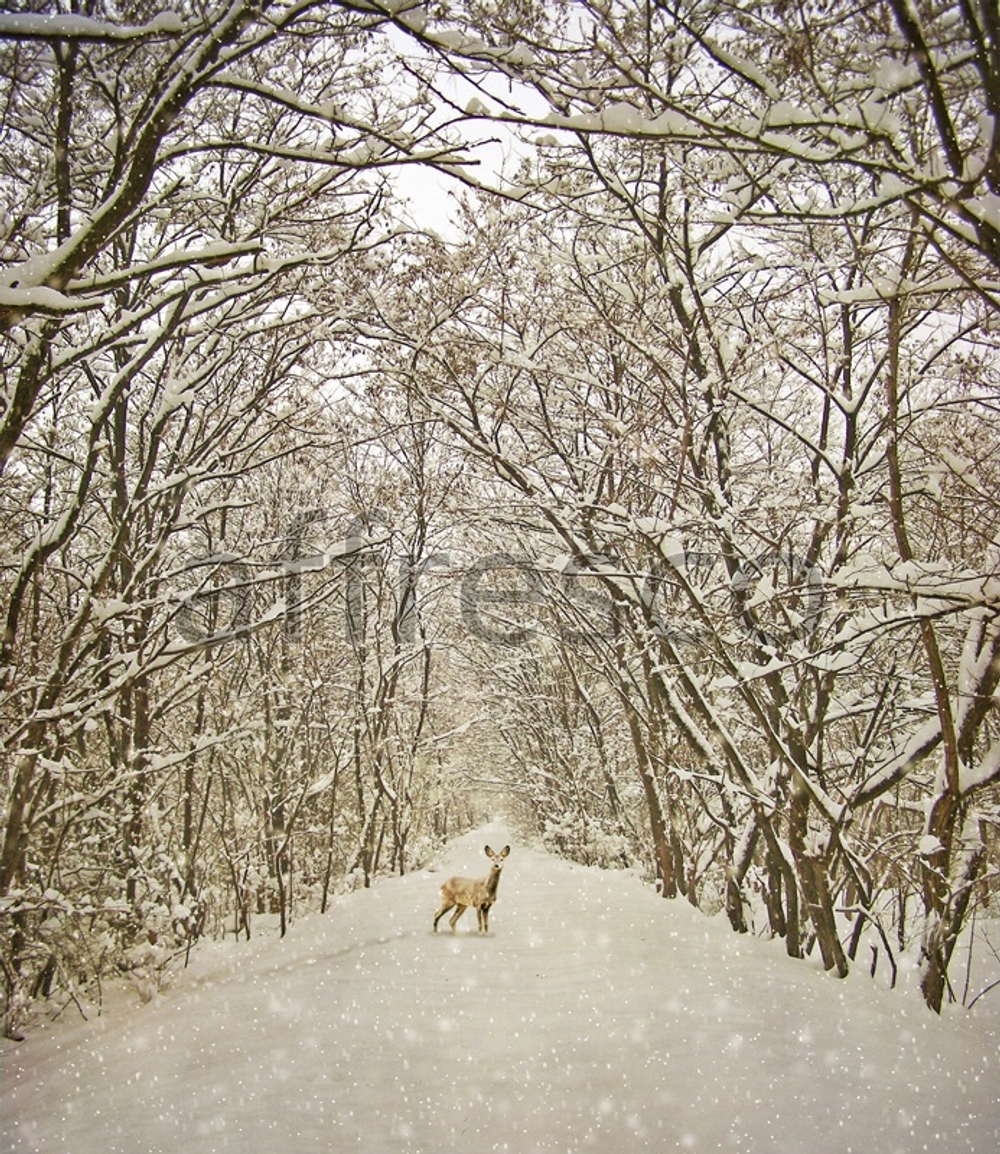 Фреска арт. ID13532