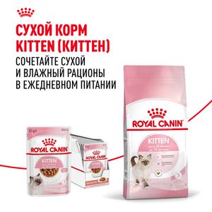 Пауч Royal Canin Kitten Gravy для котят в период второй фазы роста в возрасте до 12 месяцев, кусочки в соусе