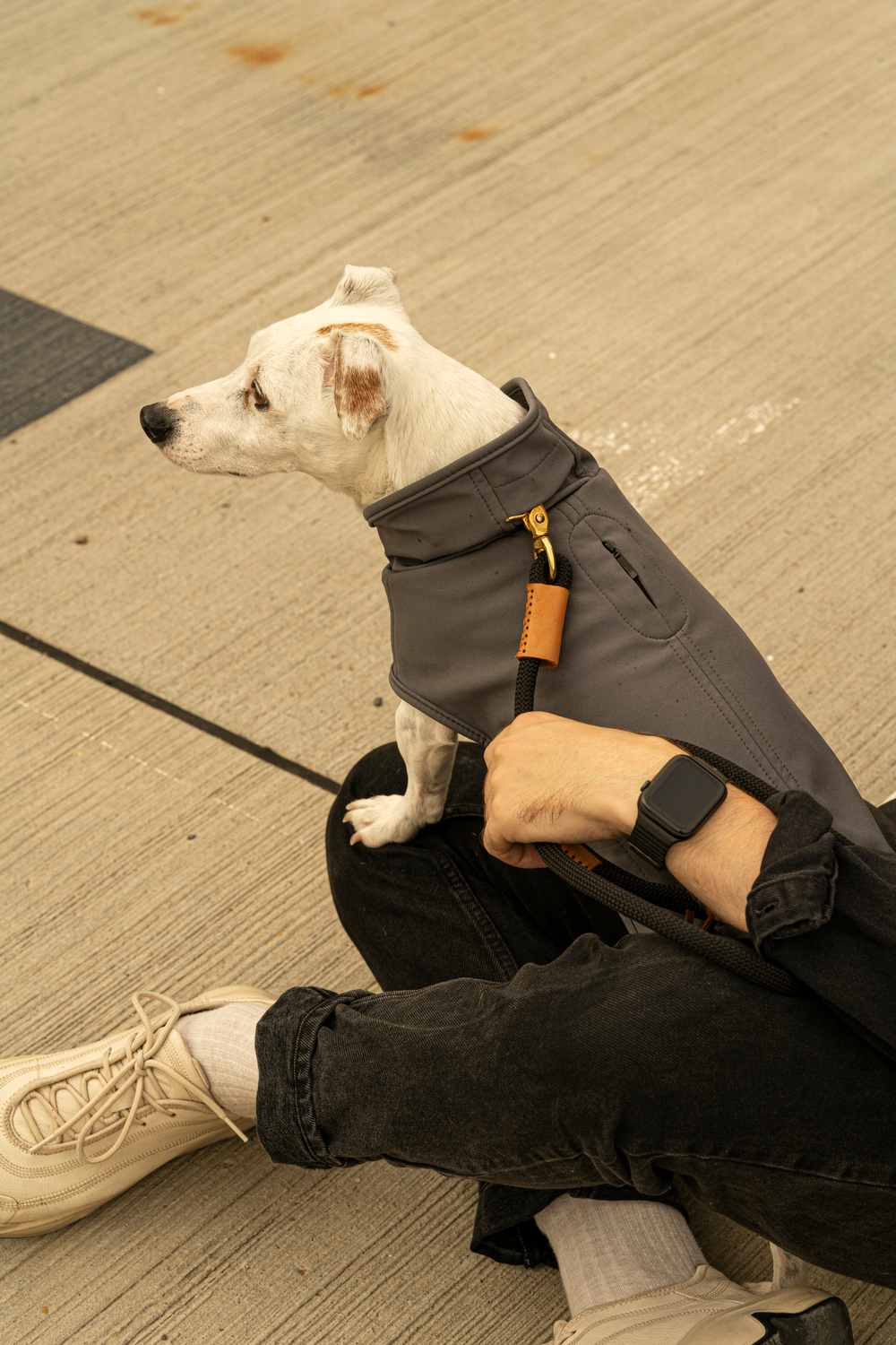 Попона "Пони-попони" темно-серая