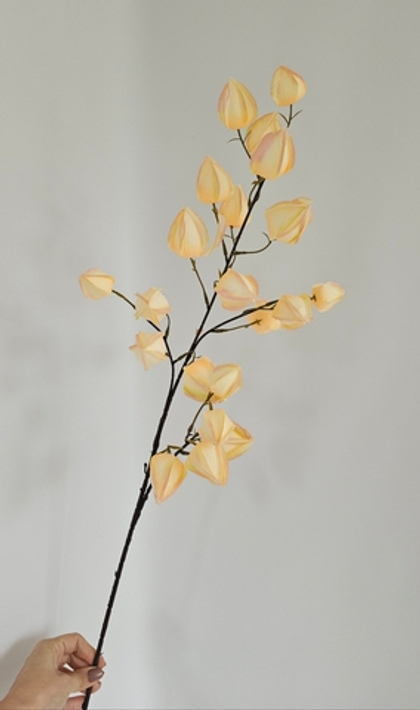 Физалис / Арт 2296