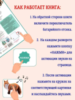 50 звуков