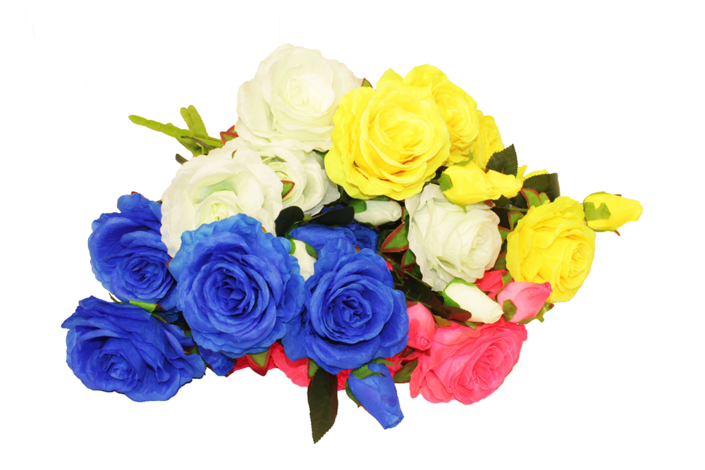 Букет роз 6 голов+3 бутона