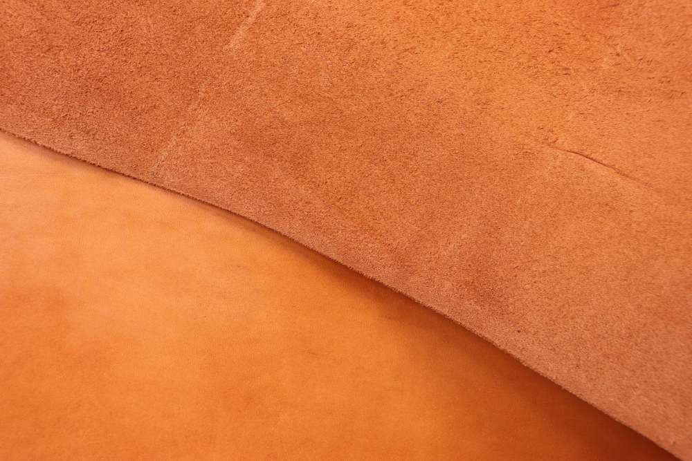 2+ Пола оранжевая