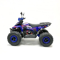 Квадроцикл Green Camel Атакама T630 (72V 2000W R8)