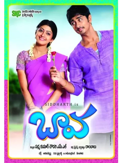 Реальная история любви (2010) (DVD-R)