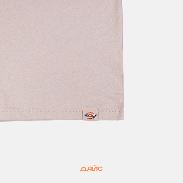 Футболка мужская Dickies Saltville Tee артикул:DK0A4YR9SS01 - купить в магазине Дайс