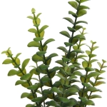 Цветок искусственный в горшке «Крассула» 35см