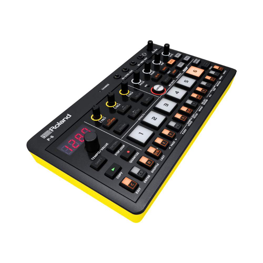 Roland P-6 Creative Sampler