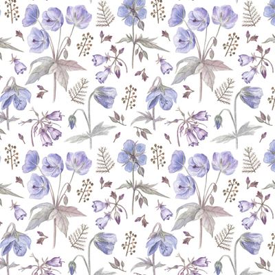 Лесная герань и травы