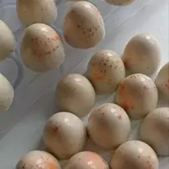 513 | Форма для шоколадных конфет (275*175 мм)