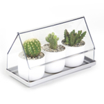 Лоток для выращивания растений micro green house, прозрачный