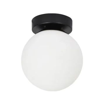 Настенно-потолочный светильник Arte Lamp ALCOR A2224PL-1BK