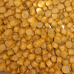 Сухой корм ProBalance Immuno Adult Small&Medium для взрослых собак малых и средних пород