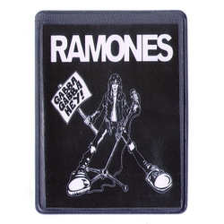 Чехол для проездного Ramones