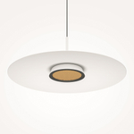 Подвесной светильник Maytoni MOD041PL-L15W3K1