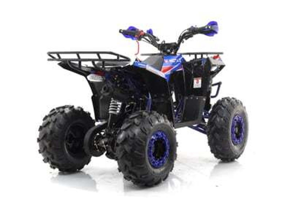 Квадроцикл MOTAX GRIZLIK A125