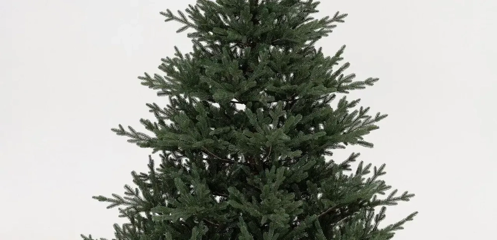 Искусственная елка Царевна леса 240 см., 100% литая хвоя, ЕлкиТорг (11240)