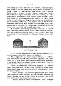 Как развести плодовый сад и ухаживать за ним: Популярное руководство по плодоводству | Ролин Козьма Ефремович
