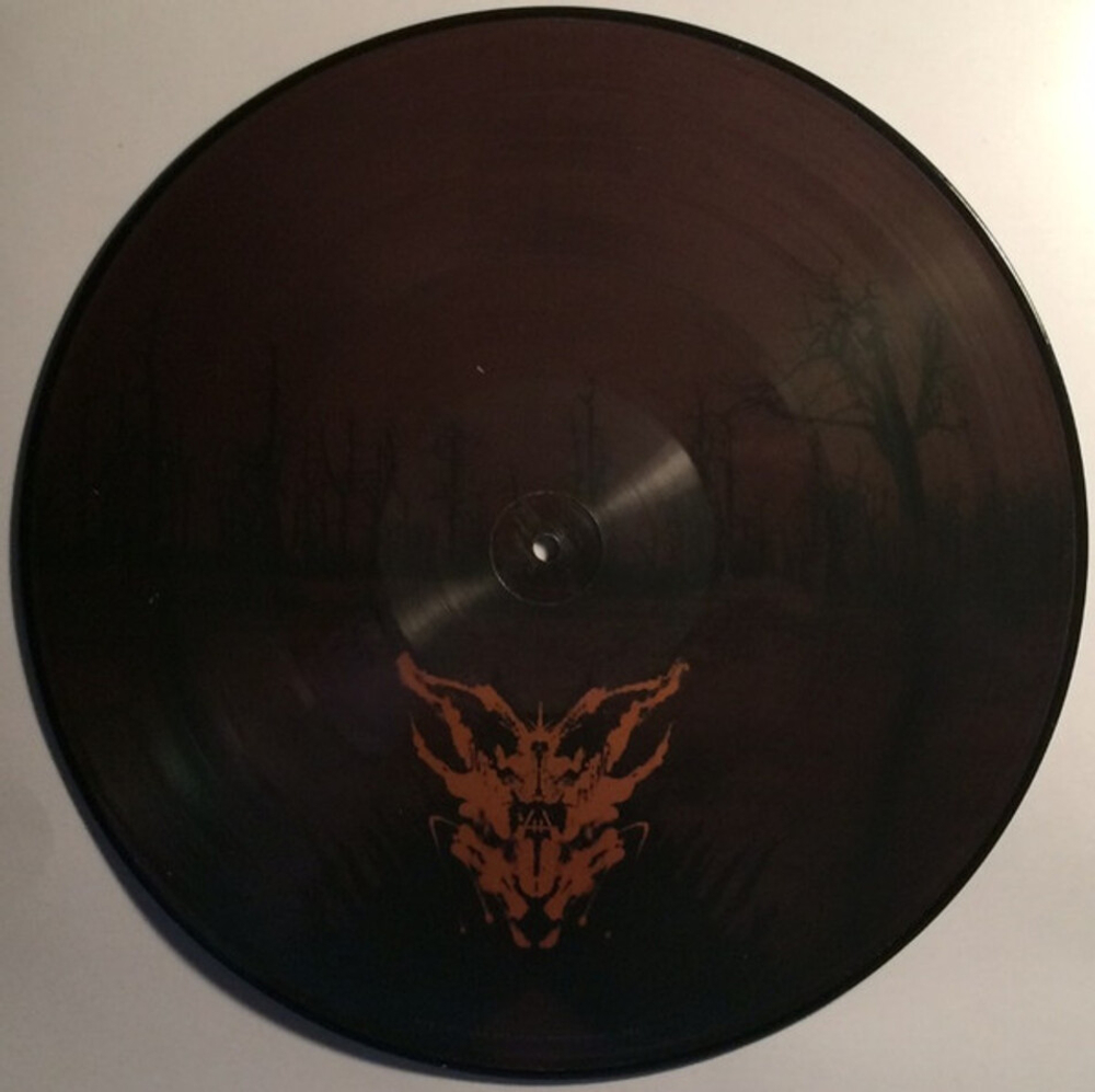 Soundgarden / Echo Of Miles - Scattered Tracks Across The Path (Limited Edition)(Picture Disc)(6LP)