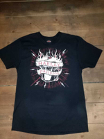 Футболка Harley-Davidson Kazan