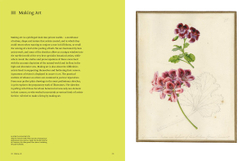 Botanical Sketchbooks