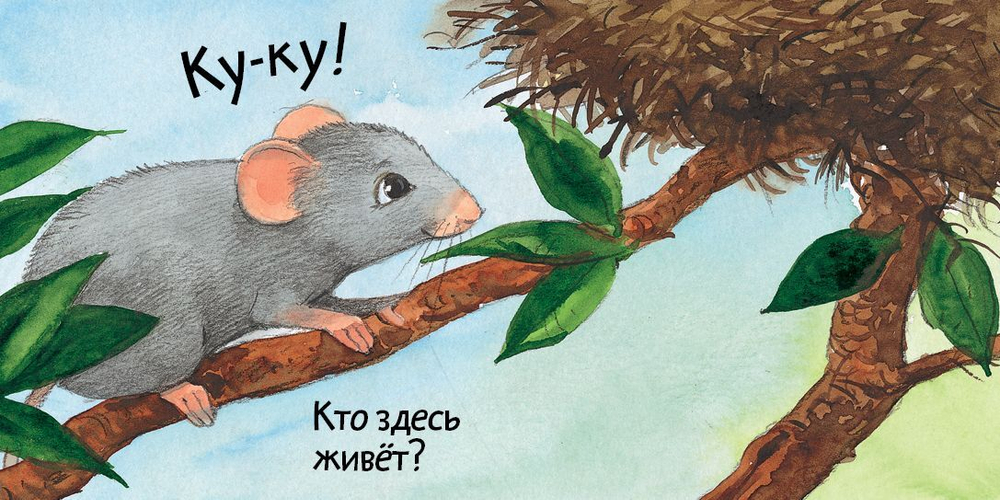Вжух! Кто где живет?