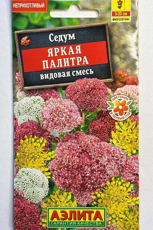 Седум Яркая палитра, смесь сортов СМЦ-788