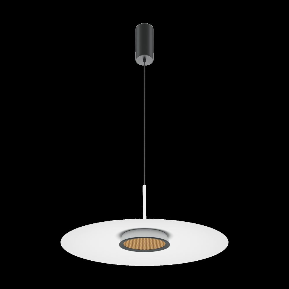 Подвесной светильник Maytoni MOD041PL-L15W3K1