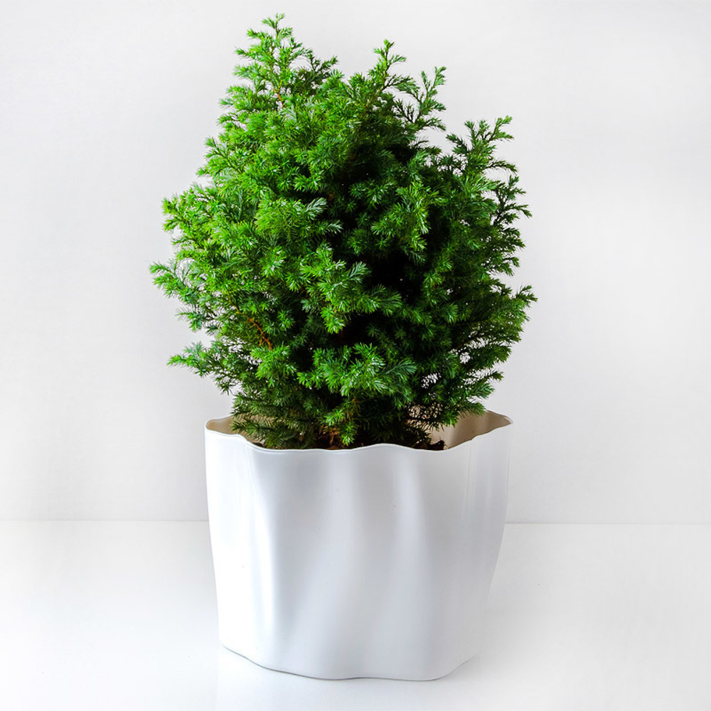 Органайзер flow средний белый