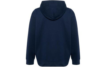 Толстовки Polo Ralph Lauren FW22 Logo, 710888282-002