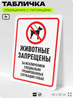 Табличка "Животные запрещены" на дверь и забор, для двора, дома, подъезда, 40х30 см, Silver Plane x Айдентика Технолоджи