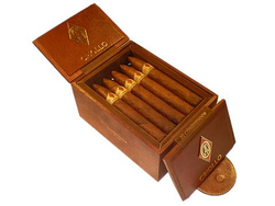 CAO Criollo Conquistador