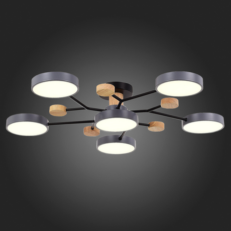 Светильник потолочный Evoluce Faema SLE6006-702-06