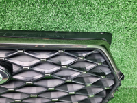 Решетка радиатора Chery Tiggo 7 Pro Max (24-нв)